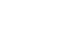 Logo VM International Version weiss